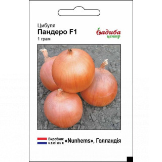 Цибуля Пандеро F1, 1 г, Садиба Центр