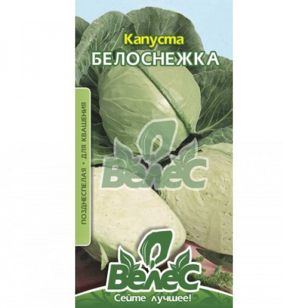 ТМ ВЕЛЕС Капуста Білосніжка 1г