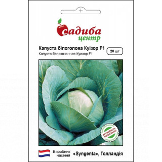 Капуста Куізор F1, 20 нас, Садиба Центр