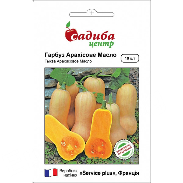 Гарбуз Арахісове Масло, 10 нас, Садиба Центр