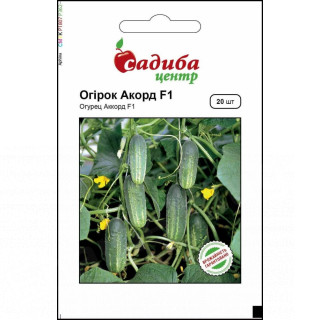 Огірок Акорд F1, 20 шт, Садиба Центр