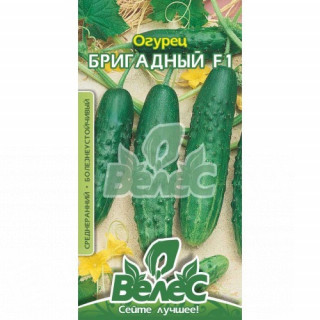 ТМ ВЕЛЕС Огірок Бригадний F1 0,5г