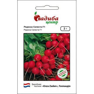Редис Селеста F1, 2 г, Садиба Центр
