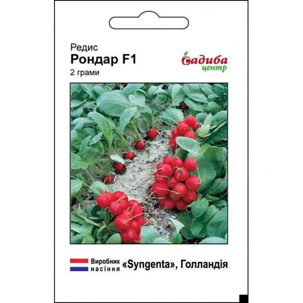 Редис Рондар F1, 2 г, Садиба Центр