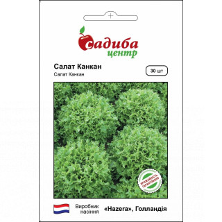 Салат Канкан 30 нас, Садиба Центр