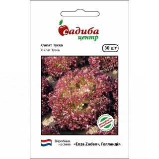 Салат Туска 30 нас, Садиба Центр