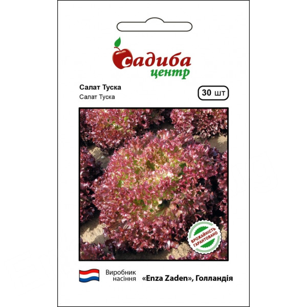 Салат Туска 30 нас, Садиба Центр