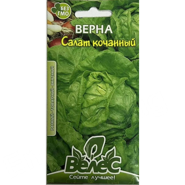 ТМ ВЕЛЕС Салат Качанний Верна 2г ТМ ВЕЛЕС Салат Качанний Верна 2г