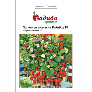 Полуниця ананасна Рейнбоу, 10 шт, Садиба Центр