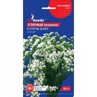 Статиця (кермек) Супрім Вайт 0,1 GL Seeds