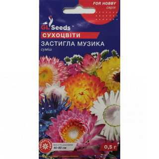 Статиця (кермек) Застигла Музика 0,1 GL Seeds